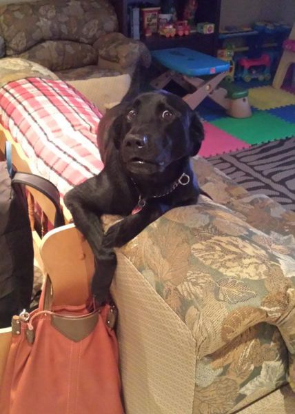 daily picdump 102 pics 4.html - 102 HD Photos | Premium Gallery 2014