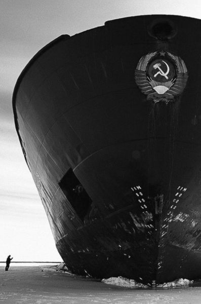 daily picdump 102 pics 4.html - 102 HD Photos | Premium Gallery 2014