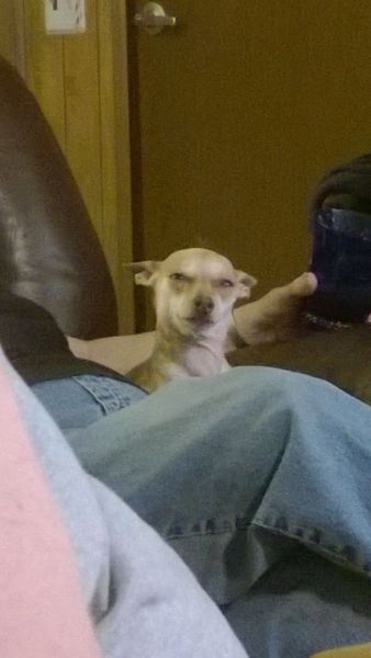 daily picdump 102 pics 4.html - 102 HD Photos | Premium Gallery 2014