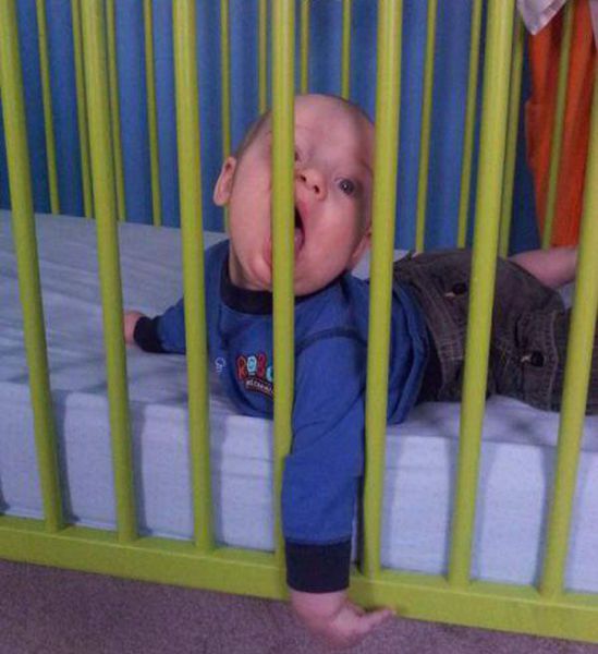 daily picdump 102 pics 4.html - 102 HD Photos | Premium Gallery 2014