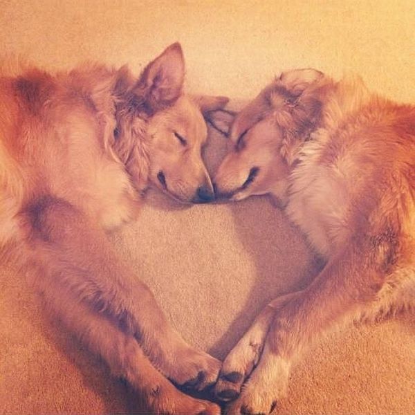 morning picdump 54 pics 8.html - 54 HD Photos | Premium Gallery 2014