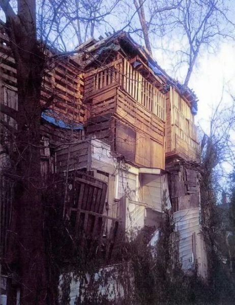 morning picdump 54 pics 8.html - 54 HD Photos | Premium Gallery 2014