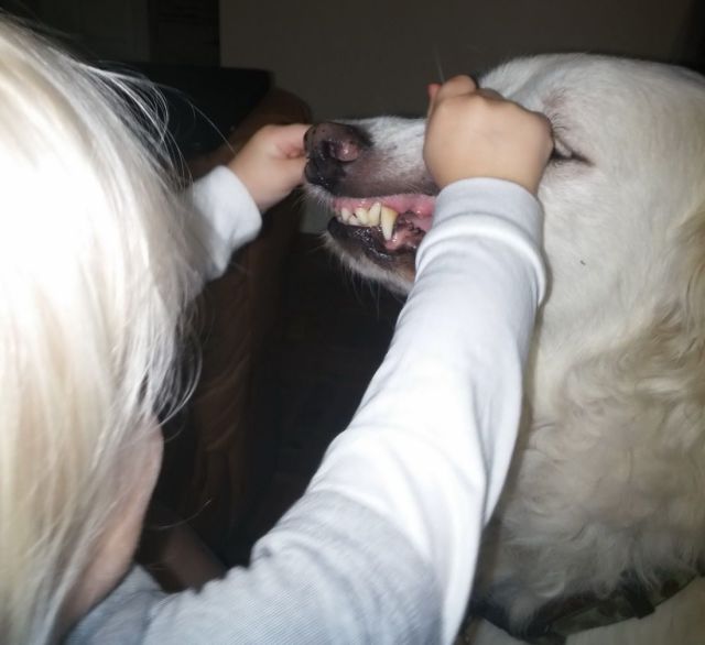 morning picdump 54 pics 8.html - 54 HD Photos | Premium Gallery 2014