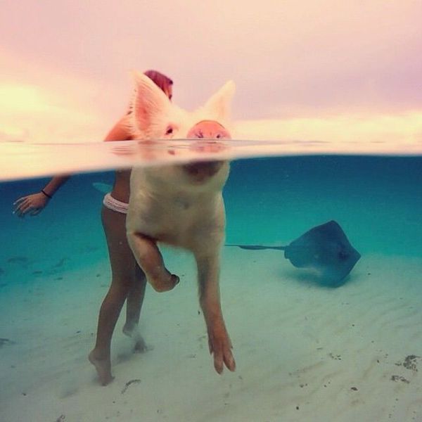 morning picdump 54 pics 8.html - 54 HD Photos | Premium Gallery 2014