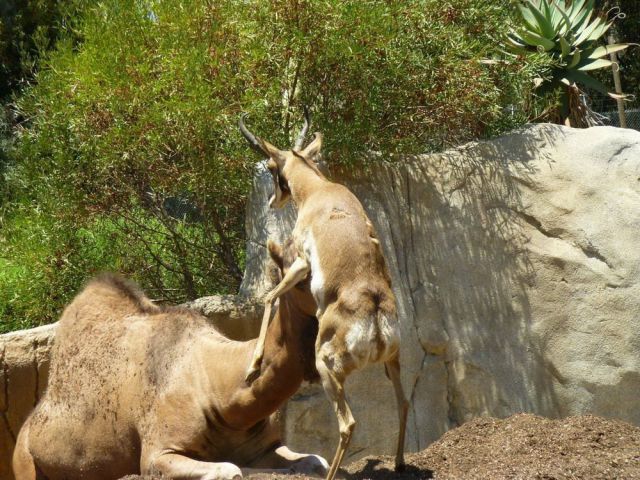 morning picdump 54 pics 8.html - 54 HD Photos | Premium Gallery 2014