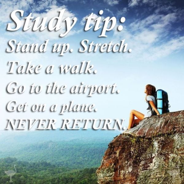 morning picdump 55 pics 6.html - 55 HD Photos | Premium Gallery 2014