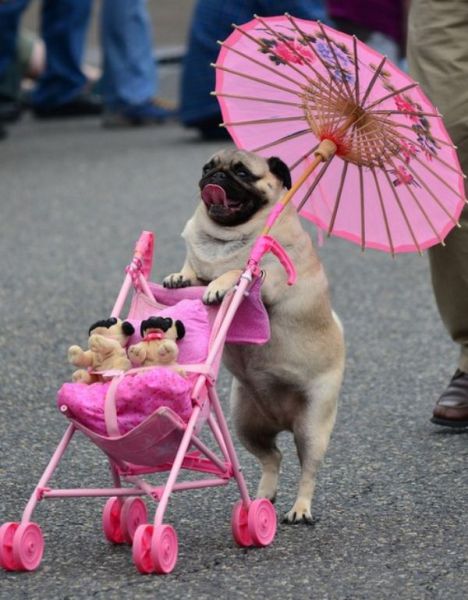 morning picdump 55 pics 6.html - 55 HD Photos | Premium Gallery 2014