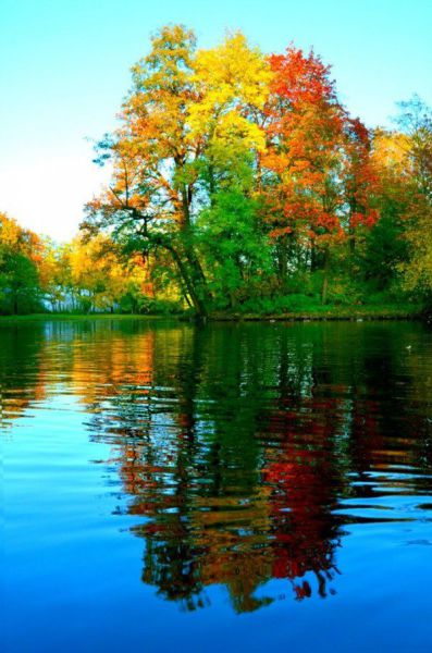 morning picdump 50 pics 36.html - 50 HD Photos | Premium Gallery 2014