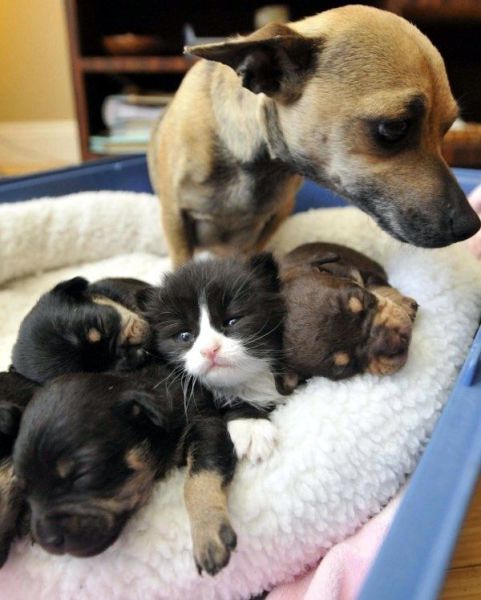 morning picdump 50 pics 36.html - 50 HD Photos | Premium Gallery 2014