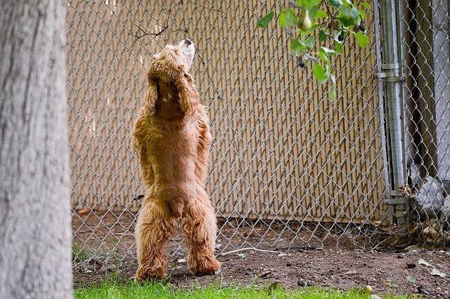 morning picdump 50 pics 36.html - 50 HD Photos | Premium Gallery 2014