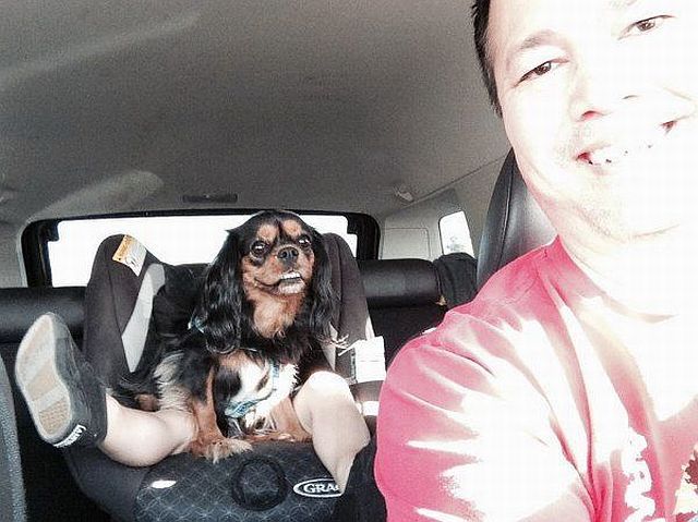 morning picdump 50 pics 36.html - 50 HD Photos | Premium Gallery 2014