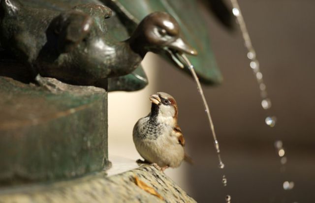 morning picdump 50 pics 36.html - 50 HD Photos | Premium Gallery 2014