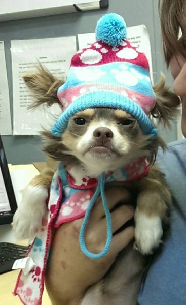 morning picdump 53 pics 8.html - 53 HD Photos | Premium Gallery 2014