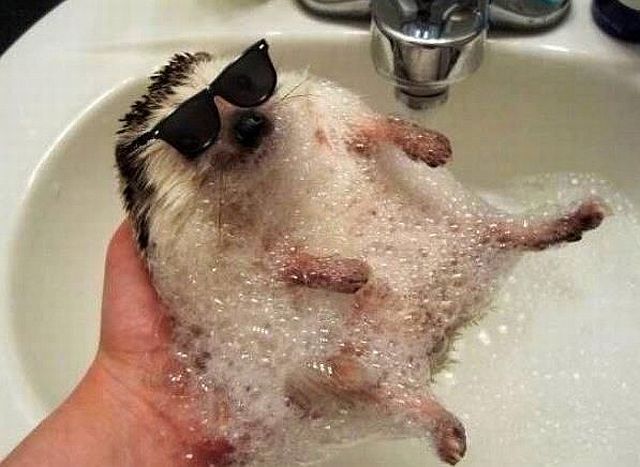 morning picdump 53 pics 8.html - 53 HD Photos | Premium Gallery 2014