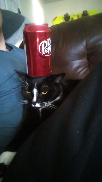 morning picdump 53 pics 8.html - 53 HD Photos | Premium Gallery 2014