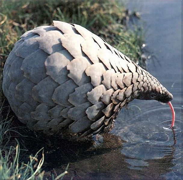 morning picdump 53 pics 8.html - 53 HD Photos | Premium Gallery 2014