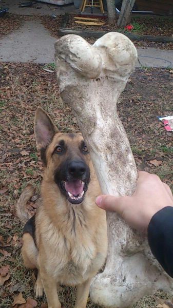 morning picdump 56 pics 15.html - 56 HD Photos | Premium Gallery 2014