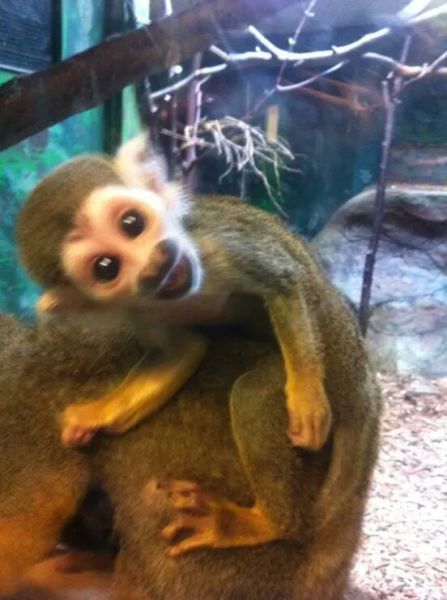 morning picdump 56 pics 15.html - 56 HD Photos | Premium Gallery 2014