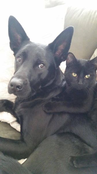 morning picdump 56 pics 15.html - 56 HD Photos | Premium Gallery 2014