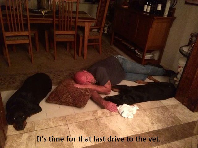 daily picdump 97 pics 38.html - 97 HD Photos | Premium Gallery 2014