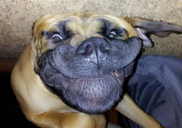 daily picdump 97 pics 38.html - 97 HD Photos | Premium Gallery 2014