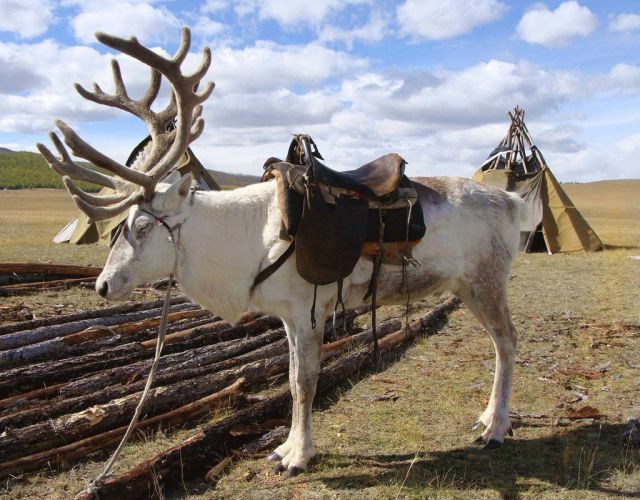 daily picdump 97 pics 38.html - 97 HD Photos | Premium Gallery 2014