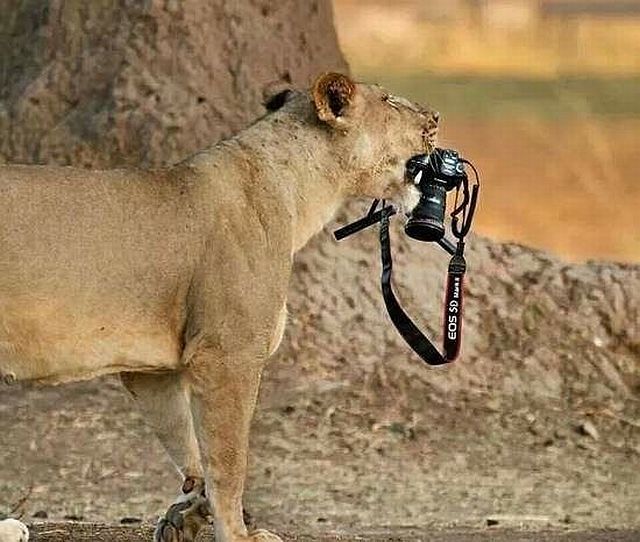 daily picdump 97 pics 38.html - 97 HD Photos | Premium Gallery 2014