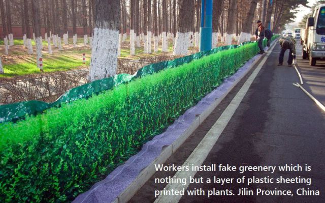 daily picdump 97 pics 38.html - 97 HD Photos | Premium Gallery 2014