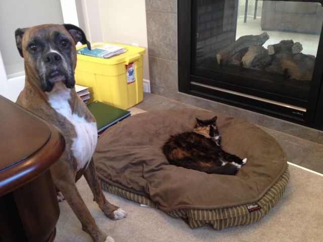 daily picdump 97 pics 38.html - 97 HD Photos | Premium Gallery 2014