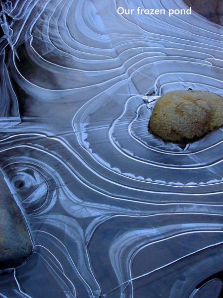 daily picdump 97 pics 38.html - 97 HD Photos | Premium Gallery 2014