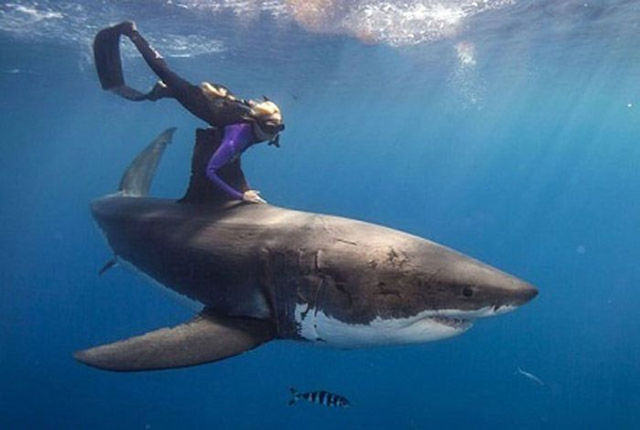 Girls That You Don’t Want to Mess with