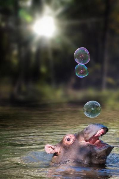 morning picdump 50 pics 18.html - 50 HD Photos | Premium Gallery 2014