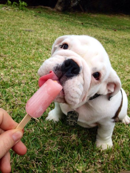 morning picdump 50 pics 18.html - 50 HD Photos | Premium Gallery 2014