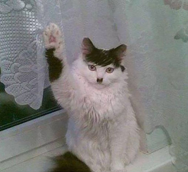 morning picdump 52 pics 19.html - 52 HD Photos | Premium Gallery 2014