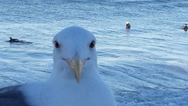 morning picdump 52 pics 19.html - 52 HD Photos | Premium Gallery 2014