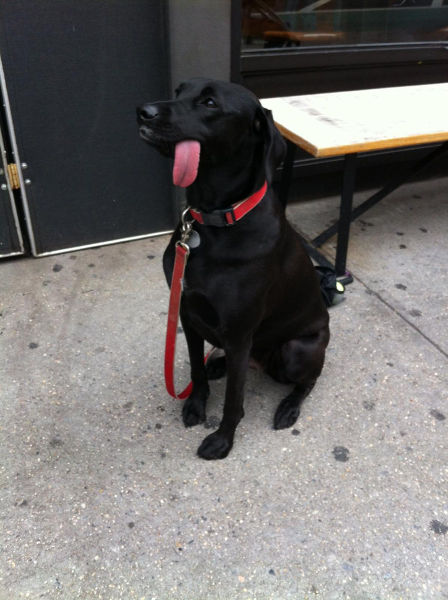 morning picdump 54 pics 23.html - 54 HD Photos | Premium Gallery 2014