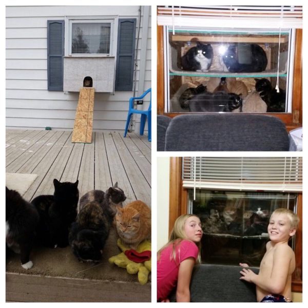 daily picdump 108 pics 3.html - 108 HD Photos | Premium Gallery 2014