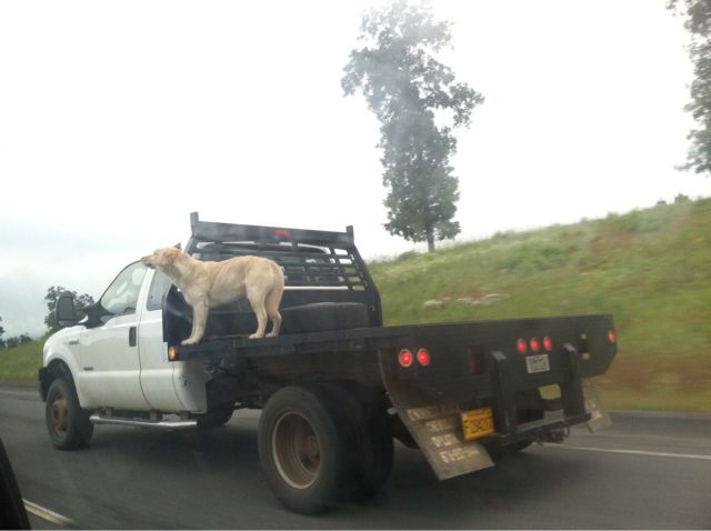 daily picdump 108 pics 3.html - 108 HD Photos | Premium Gallery 2014