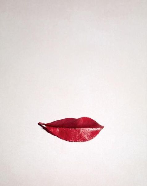 daily picdump 108 pics 3.html - 108 HD Photos | Premium Gallery 2014