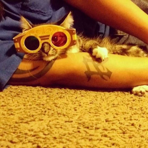 daily picdump 108 pics 3.html - 108 HD Photos | Premium Gallery 2014