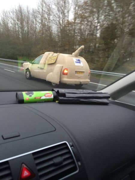 daily picdump 108 pics 3.html - 108 HD Photos | Premium Gallery 2014