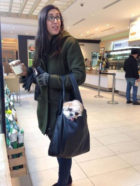 daily picdump 108 pics 3.html - 108 HD Photos | Premium Gallery 2014