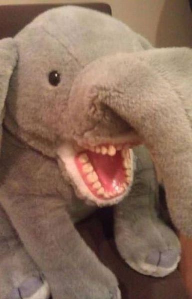 daily picdump 108 pics 3.html - 108 HD Photos | Premium Gallery 2014