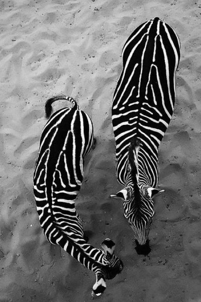 daily picdump 108 pics 3.html - 108 HD Photos | Premium Gallery 2014