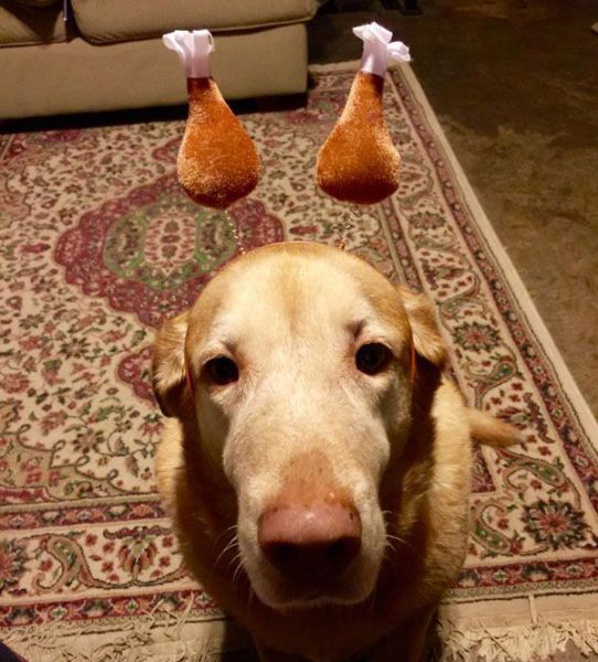 daily picdump 108 pics 3.html - 108 HD Photos | Premium Gallery 2014