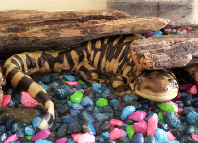 morning picdump 50 pics 3.html - 50 HD Photos | Premium Gallery 2014