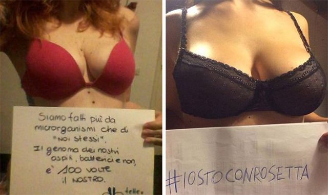 A Boob Blog That Is Actually Educational