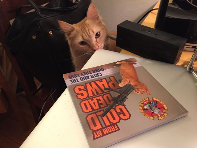 morning picdump 56 pics 23.html - 56 HD Photos | Premium Gallery 2014