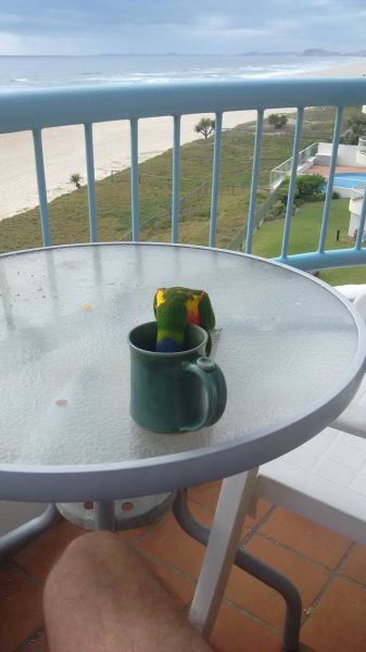 morning picdump 56 pics 23.html - 56 HD Photos | Premium Gallery 2014