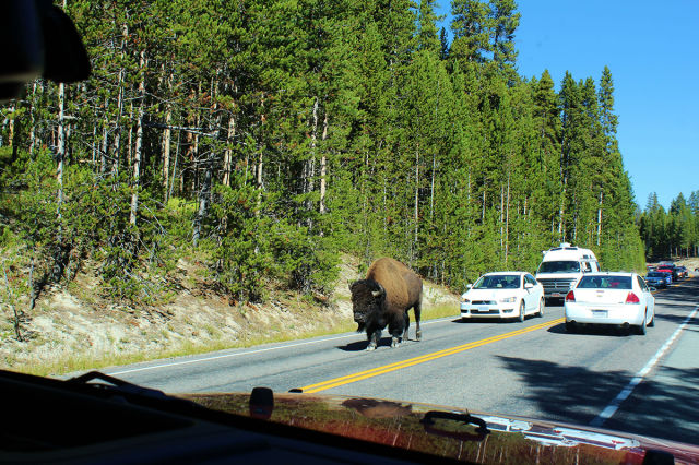 morning picdump 55 pics 31.html - 55 HD Photos | Premium Gallery 2014